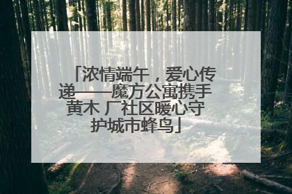 浓情端午，爱心传递——魔方公寓携手黄木 厂社区暖心守护城市蜂鸟
