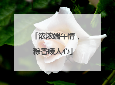 浓浓端午情，粽香暖人心