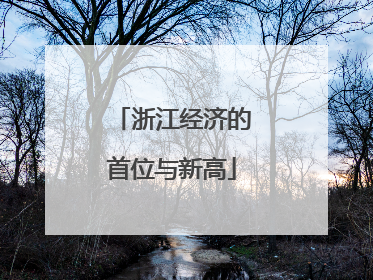 浙江经济的首位与新高