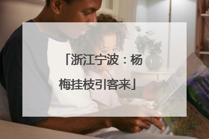浙江宁波：杨梅挂枝引客来