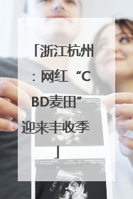 浙江杭州：网红“CBD麦田”迎来丰收季