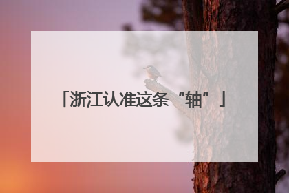 浙江认准这条“轴”
