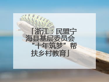 浙江：民盟宁海县基层委员会“十年筑梦”帮扶乡村教育