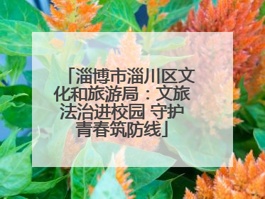 淄博市淄川区文化和旅游局：文旅法治进校园 守护青春筑防线