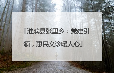 淮滨县张里乡：党建引领，惠民义诊暖人心