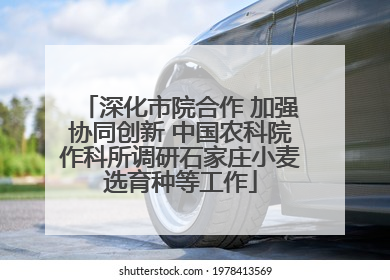 深化市院合作 加强协同创新 中国农科院作科所调研石家庄小麦选育种等工作