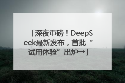 深夜重磅！DeepSeek最新发布，首批“试用体验”出炉→