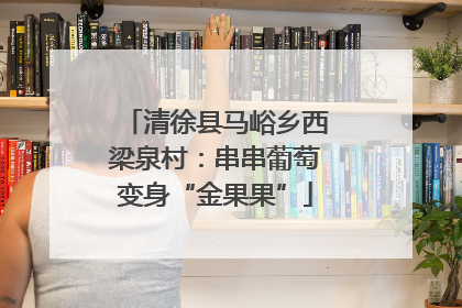 清徐县马峪乡西梁泉村：串串葡萄变身“金果果”