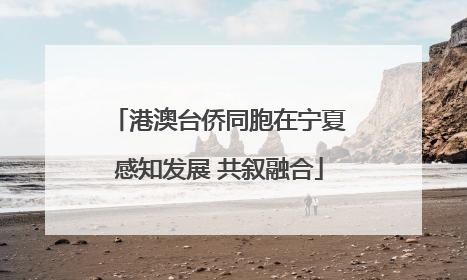 港澳台侨同胞在宁夏感知发展 共叙融合