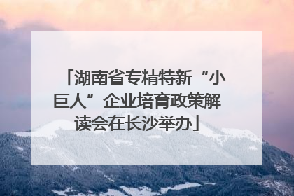 湖南省专精特新“小巨人”企业培育政策解读会在长沙举办