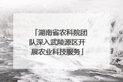 湖南省农科院团队深入武陵源区开展农业科技服务