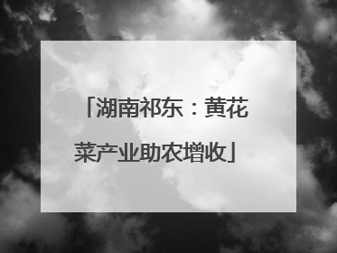 湖南祁东：黄花菜产业助农增收