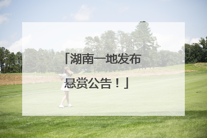湖南一地发布悬赏公告！