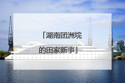 湖南团洲垸的田家新事