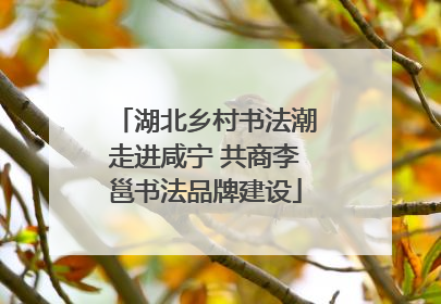 湖北乡村书法潮走进咸宁 共商李邕书法品牌建设
