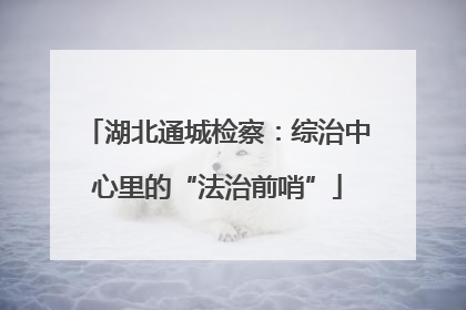 湖北通城检察：综治中心里的“法治前哨”