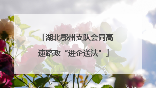 湖北鄂州支队会同高速路政“进企送法”