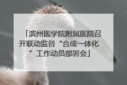 滨州医学院附属医院召开联动监督“合成一体化”工作动员部署会