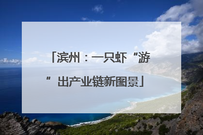 滨州：一只虾“游”出产业链新图景