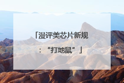 漫评美芯片新规：“打地鼠”
