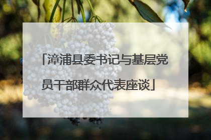 漳浦县委书记与基层党员干部群众代表座谈