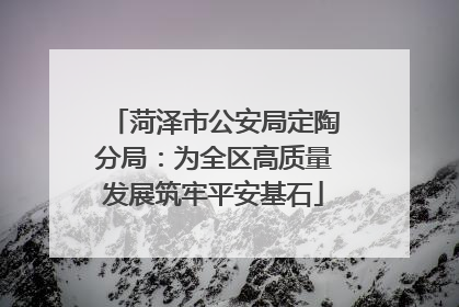 菏泽市公安局定陶分局：为全区高质量发展筑牢平安基石