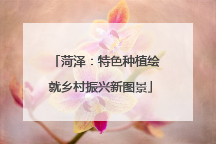 菏泽：特色种植绘就乡村振兴新图景