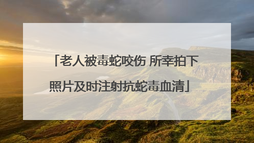 老人被毒蛇咬伤 所幸拍下照片及时注射抗蛇毒血清