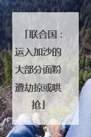 联合国：运入加沙的大部分面粉遭劫掠或哄抢