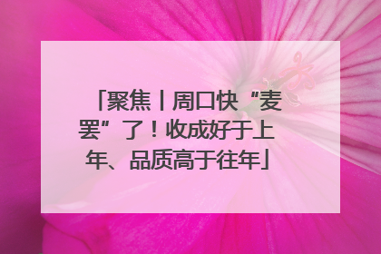 聚焦丨周口快“麦罢”了！收成好于上年、品质高于往年