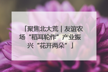 聚焦北大荒｜友谊农场“稻耳轮作”产业振兴“花开两朵”
