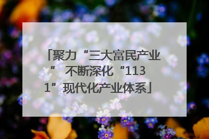 聚力“三大富民产业” 不断深化“1131”现代化产业体系