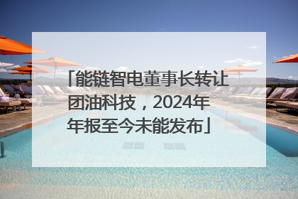 能链智电董事长转让团油科技，2024年年报至今未能发布