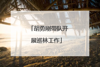 胡勇刚带队开展巡林工作