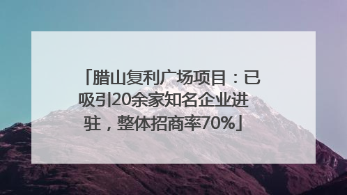 腊山复利广场项目：已吸引20余家知名企业进驻，整体招商率70%