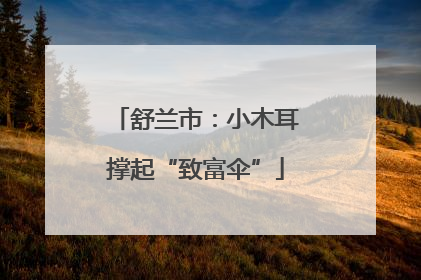 舒兰市：小木耳撑起“致富伞”