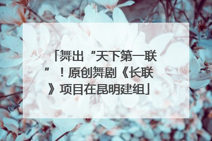 舞出“天下第一联”！原创舞剧《长联》项目在昆明建组