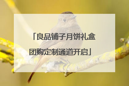 良品铺子月饼礼盒团购定制通道开启