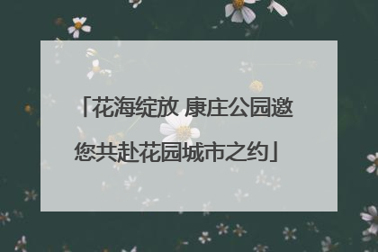 花海绽放 康庄公园邀您共赴花园城市之约