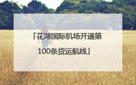 花湖国际机场开通第100条货运航线