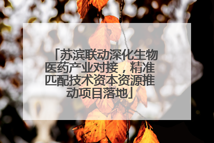 苏滨联动深化生物医药产业对接，精准匹配技术资本资源推动项目落地
