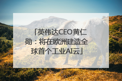 英伟达CEO黄仁勋：将在欧洲建造全球首个工业AI云