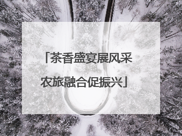 茶香盛宴展风采 农旅融合促振兴