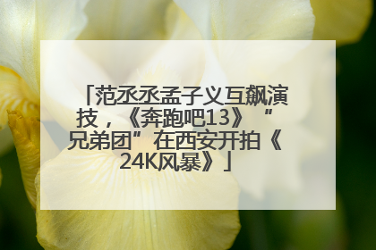 范丞丞孟子义互飙演技，《奔跑吧13》“兄弟团”在西安开拍《24K风暴》