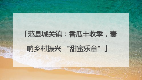 范县城关镇：香瓜丰收季，奏响乡村振兴 “甜蜜乐章”