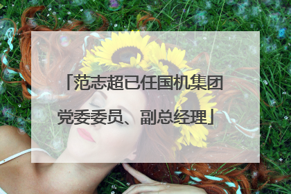 范志超已任国机集团党委委员、副总经理