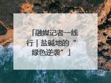 融媒记者一线行｜盐碱地的“绿色逆袭”