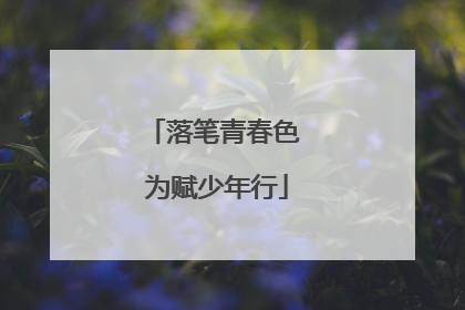 落笔青春色 为赋少年行