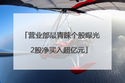 营业部最青睐个股曝光 2股净买入超亿元