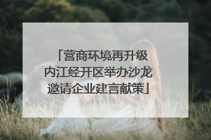 营商环境再升级 内江经开区举办沙龙邀请企业建言献策